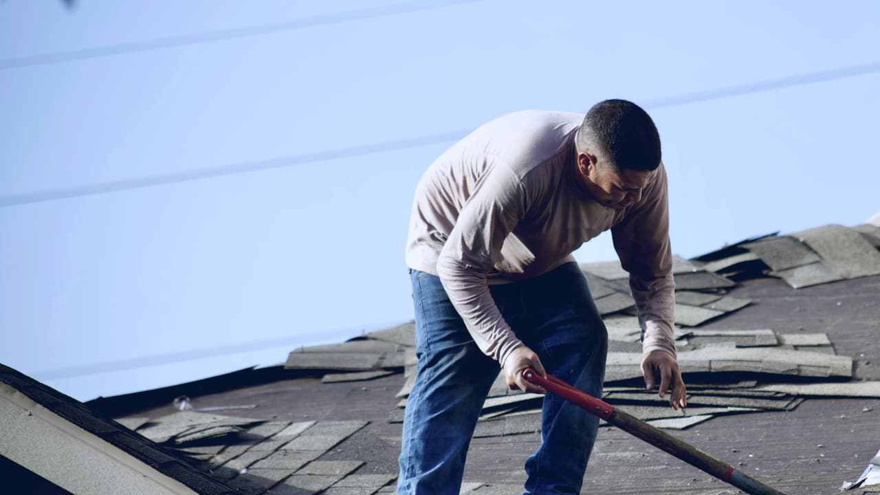 Roofer stripping old shingles from a house roof on a clear morning